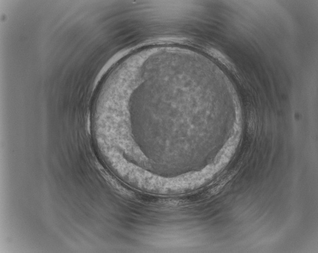 X0000075871420200610151649