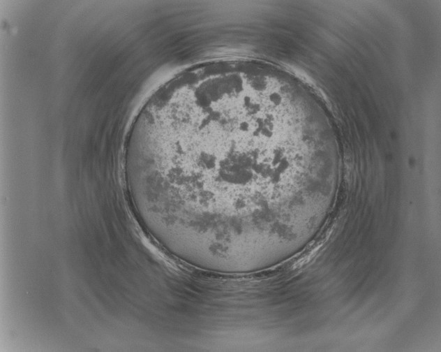 X0000075871421200610151649