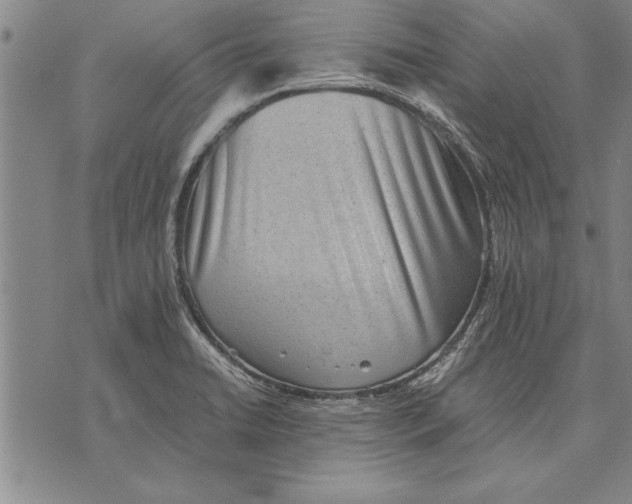 X0000075871422200610151649