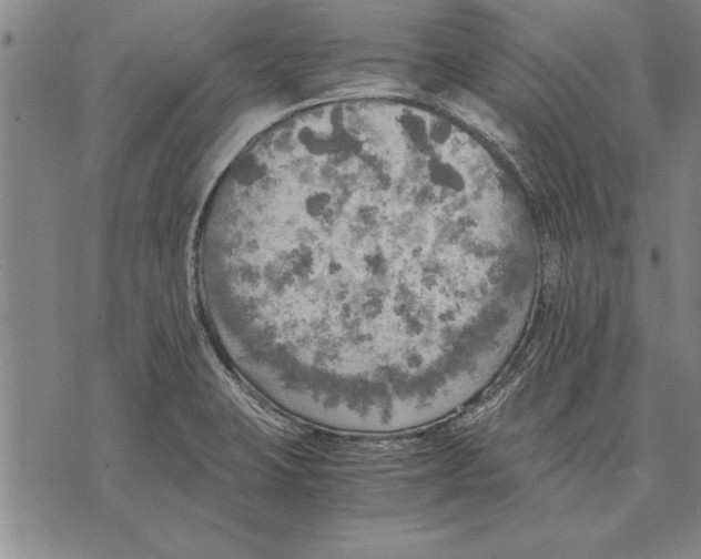 X0000075871423200610151649