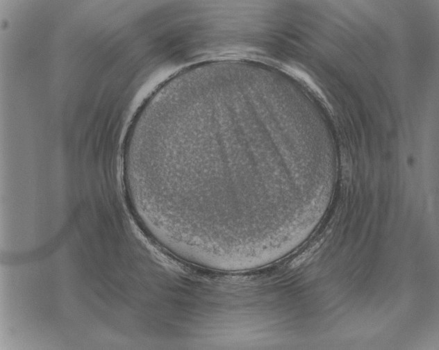 X0000075871424200610151649