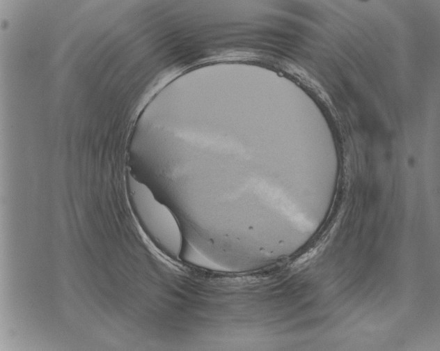 X0000075871425200610151649