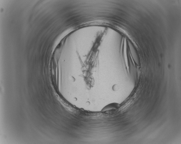 X0000075871426200610151649