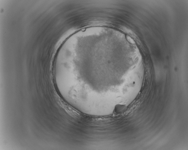 X0000075871427200610151649