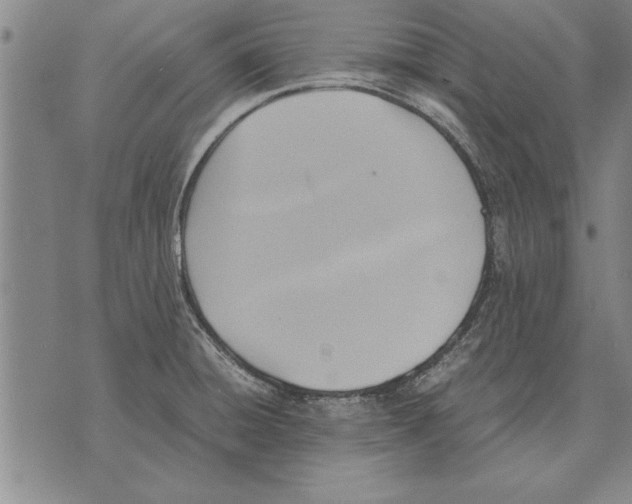 X0000075871428200610151649