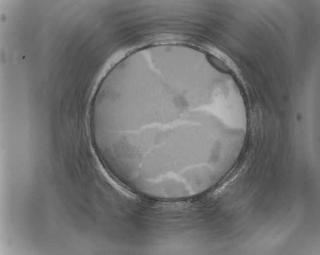 X0000075871429200610151649