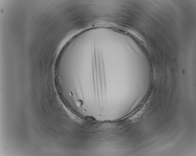 X0000075871430200610151649