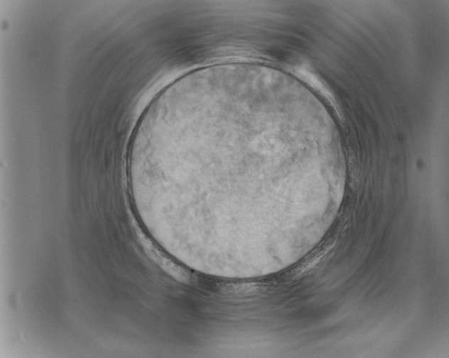 X0000075871431200610151649