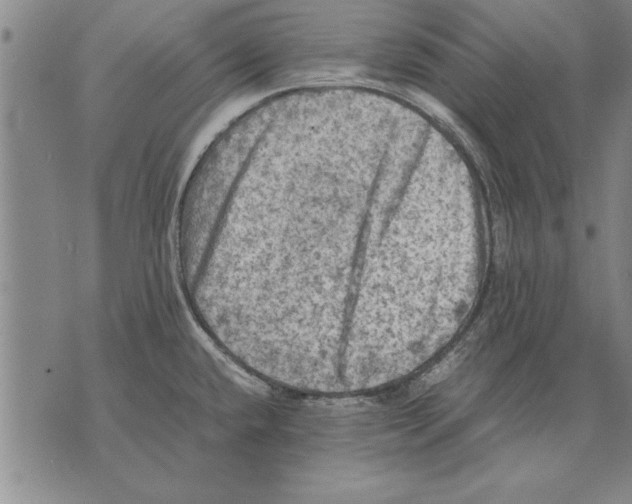 X0000075871432200610151649