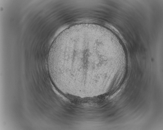 X0000075871433200610151649