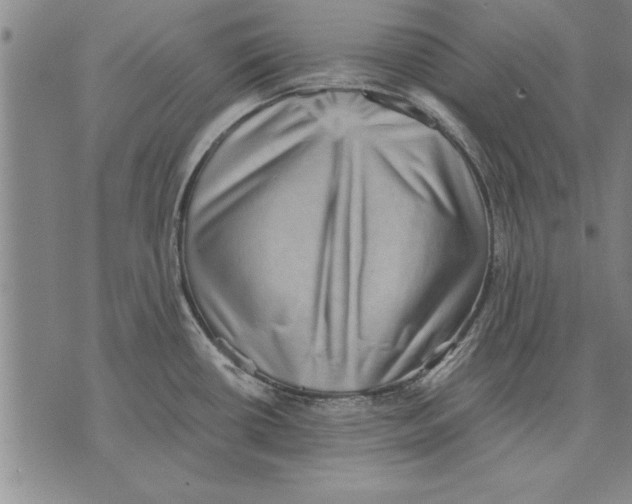 X0000075871434200610151649