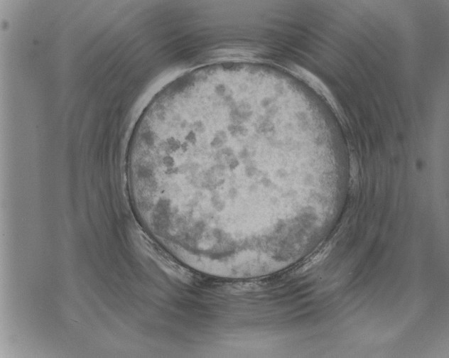 X0000075871435200610151649