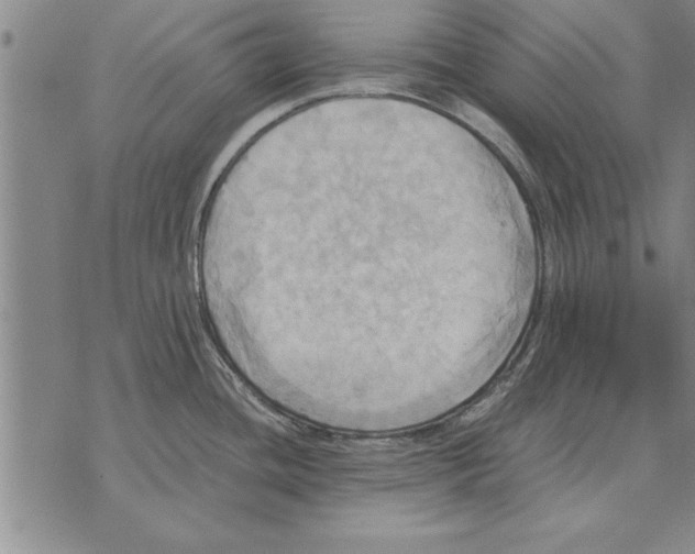 X0000075871436200610151649