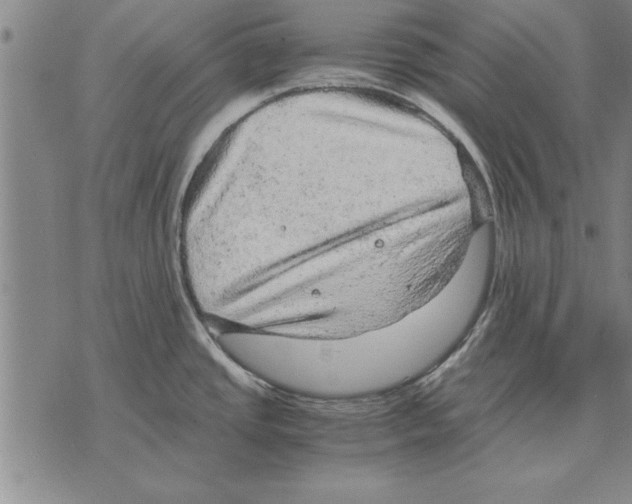 X0000075871437200610151649