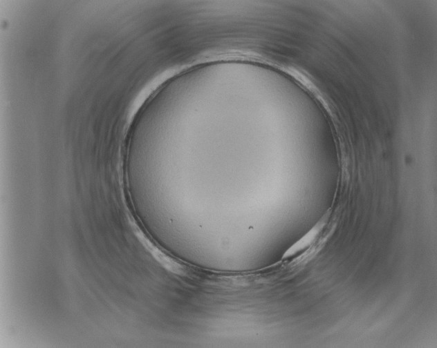 X0000075871438200610151649