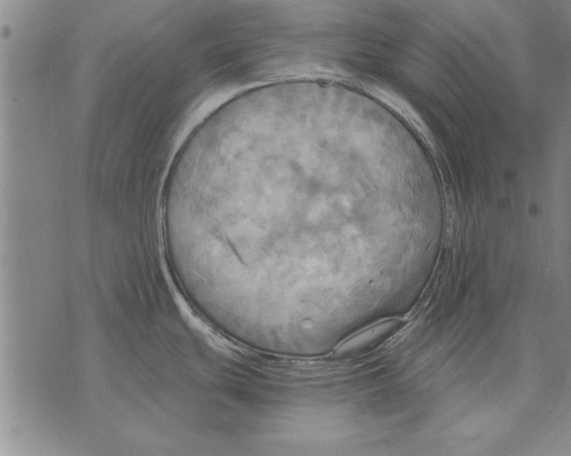 X0000075871439200610151649