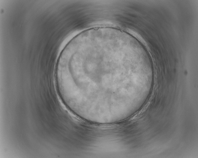 X0000075871440200610151649