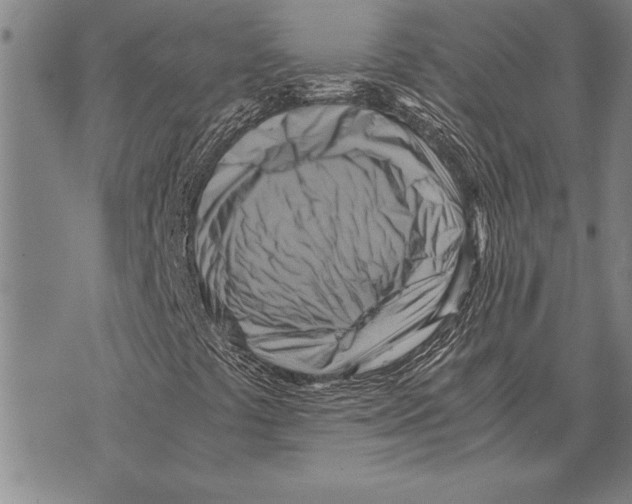 X0000075871441200610151648