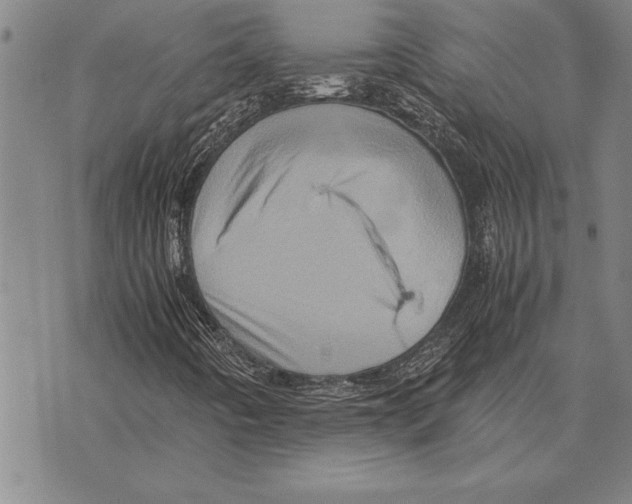 X0000075871442200610151648