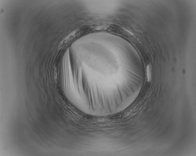 X0000075871443200610151648