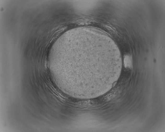 X0000075871444200610151648