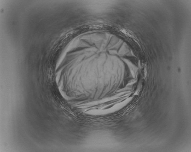 X0000075871445200610151648