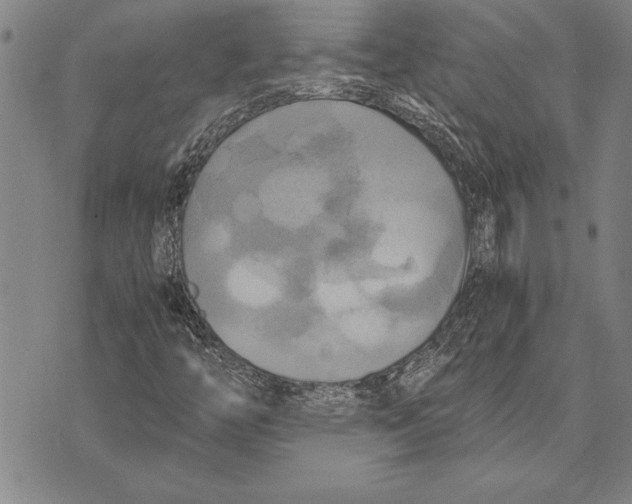 X0000075871446200610151648