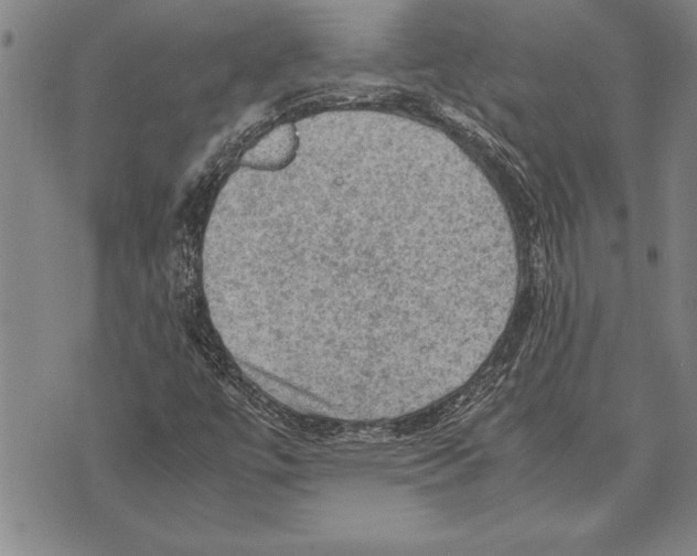 X0000075871447200610151648