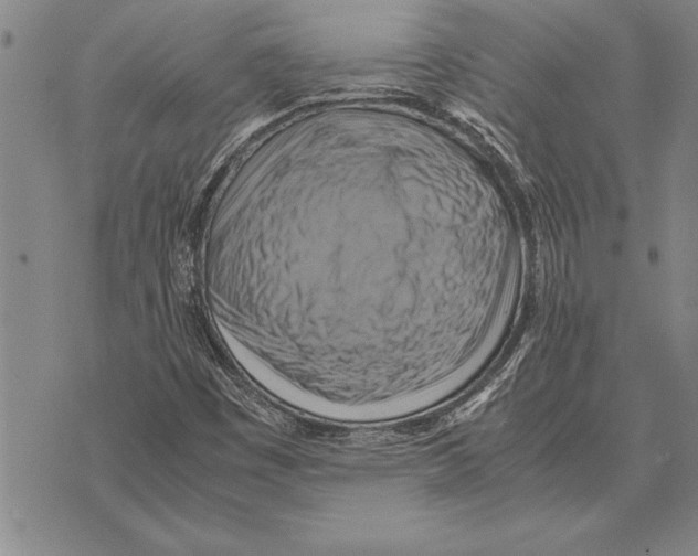 X0000075871449200610151648