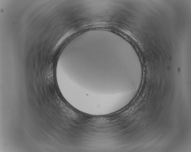 X0000075871450200610151648