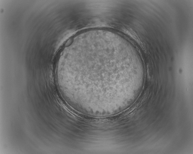 X0000075871452200610151648