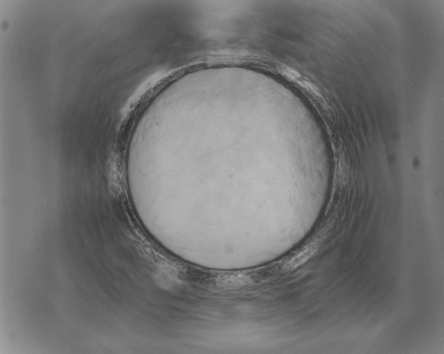 X0000075871454200610151648