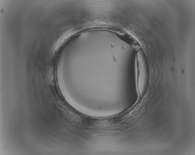 X0000075871455200610151648