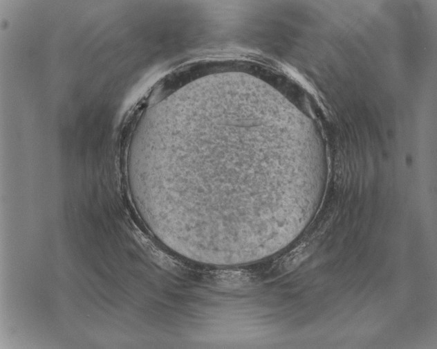 X0000075871456200610151648