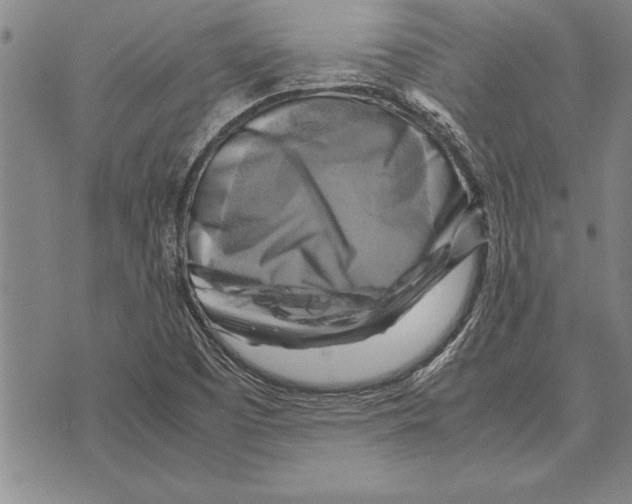 X0000075871457200610151648