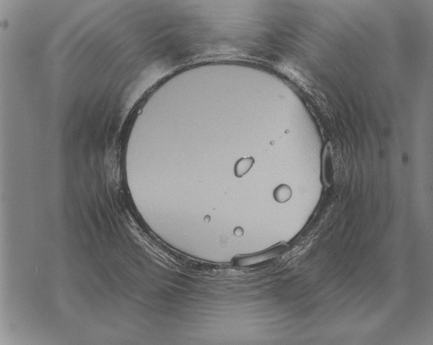 X0000075871458200610151648