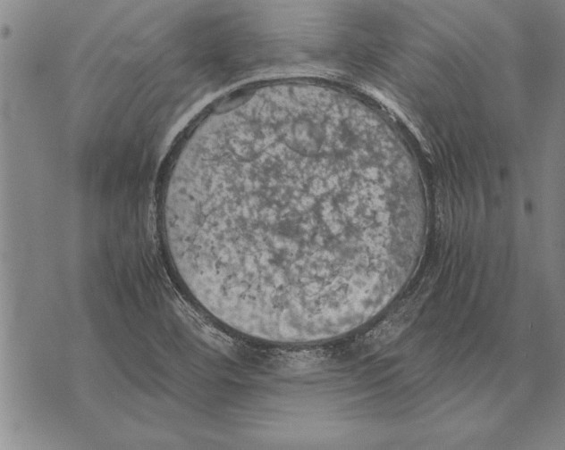 X0000075871460200610151648