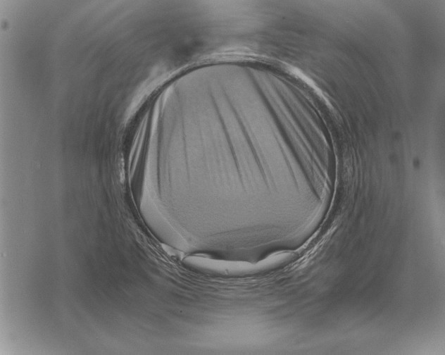 X0000075871461200610151648