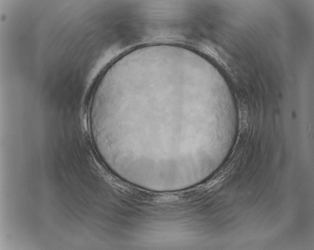 X0000075871462200610151648