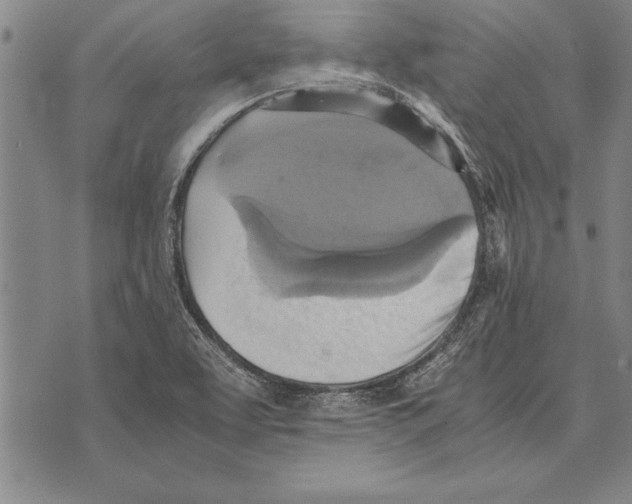 X0000075871463200610151648