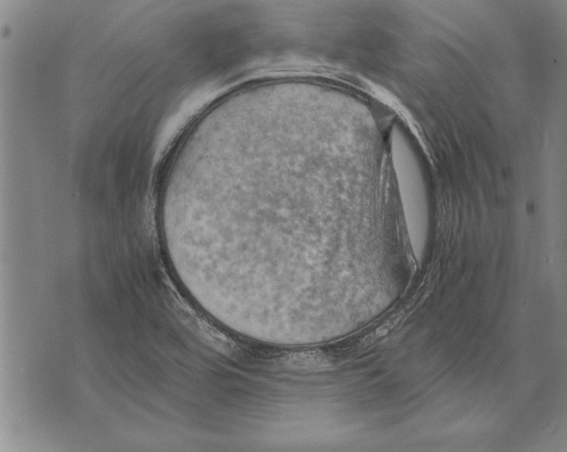 X0000075871464200610151648