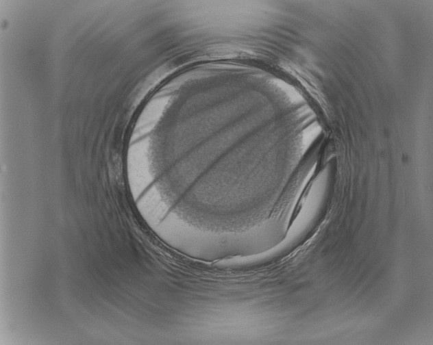 X0000075871465200610151648