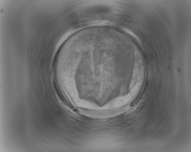 X0000075871467200610151648