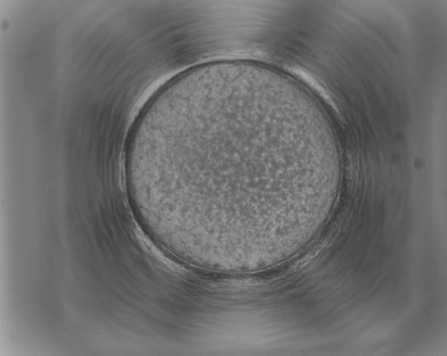 X0000075871468200610151648