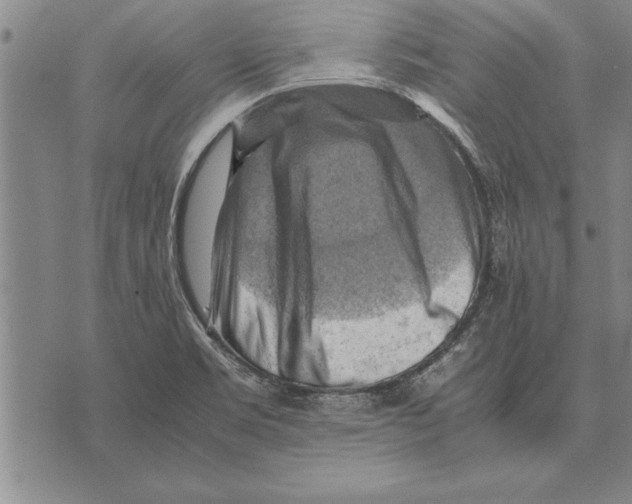 X0000075871469200610151648