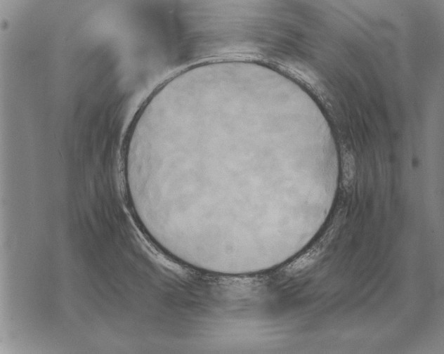 X0000075871470200610151648