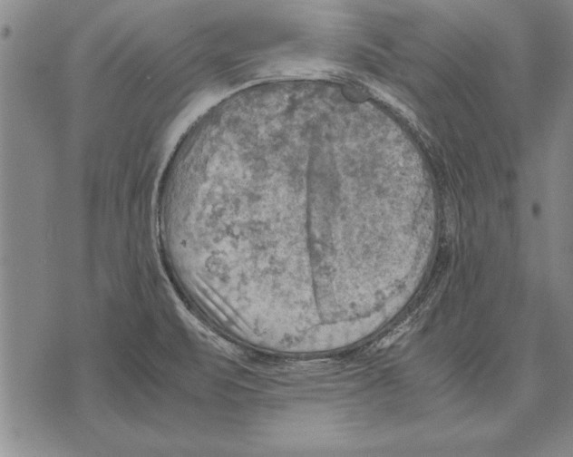 X0000075871471200610151648