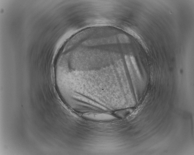 X0000075871472200610151648