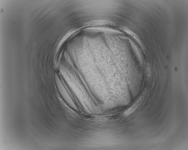 X0000075871473200610151648