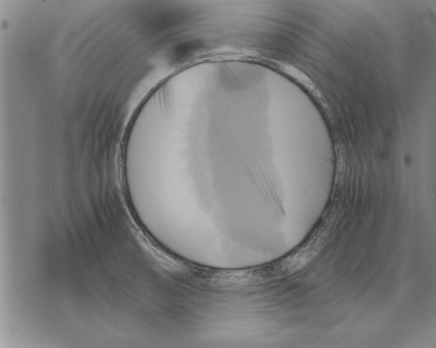 X0000075871474200610151648